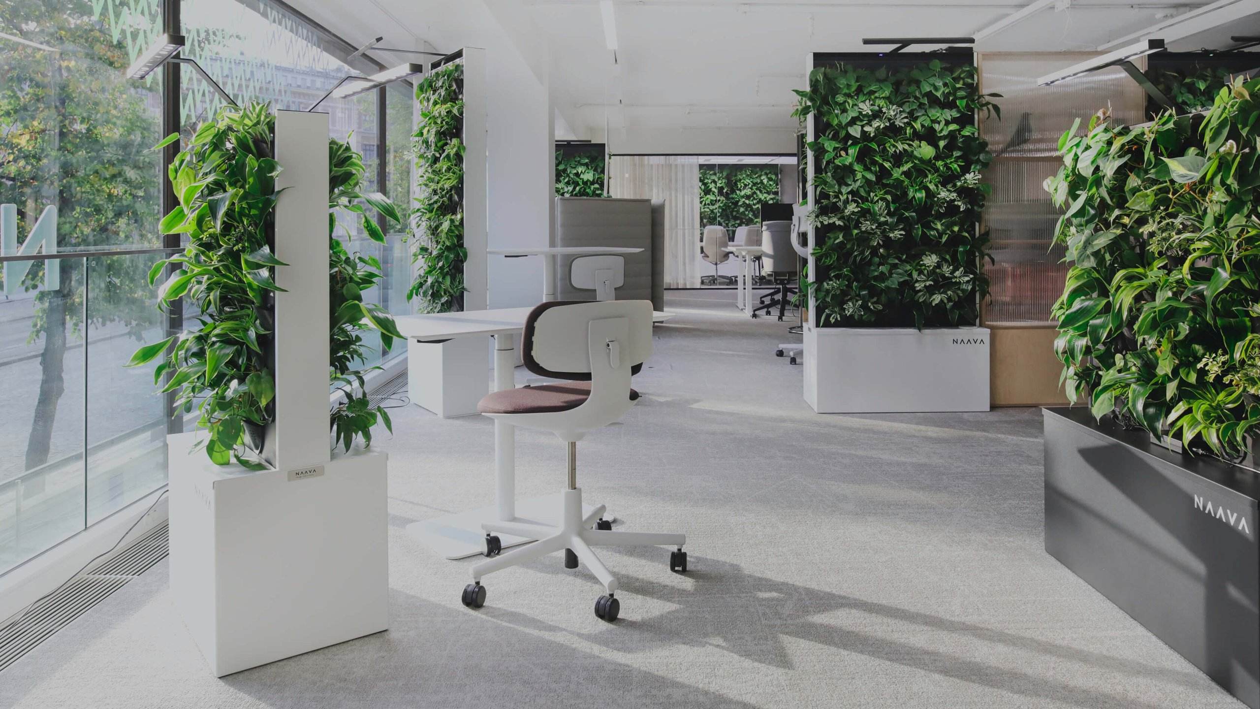 Biophilic design office