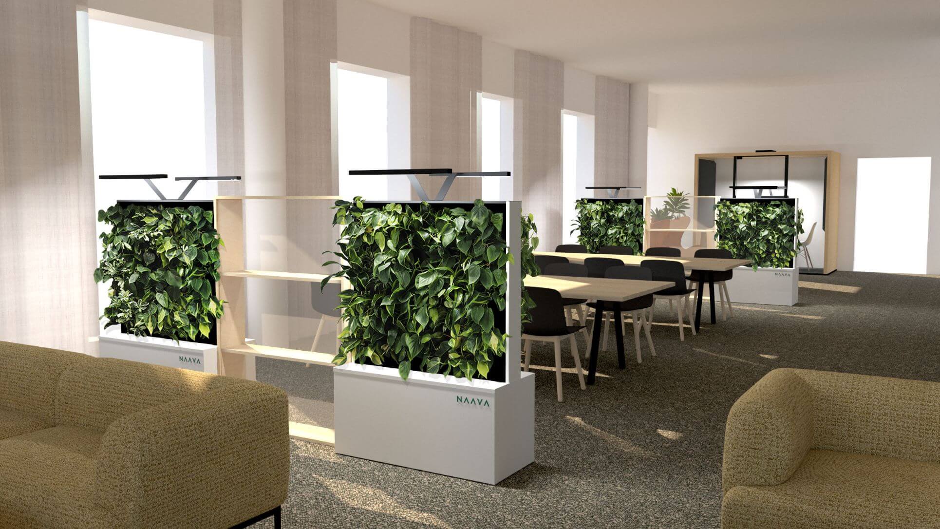 Naava-office filled with smart green walls 