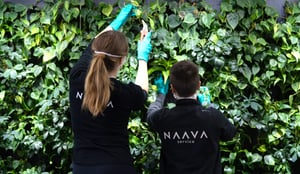 Naavan viherhuoltopalvelu