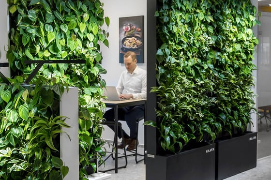 Naava & COOR Biophilic office design (4)