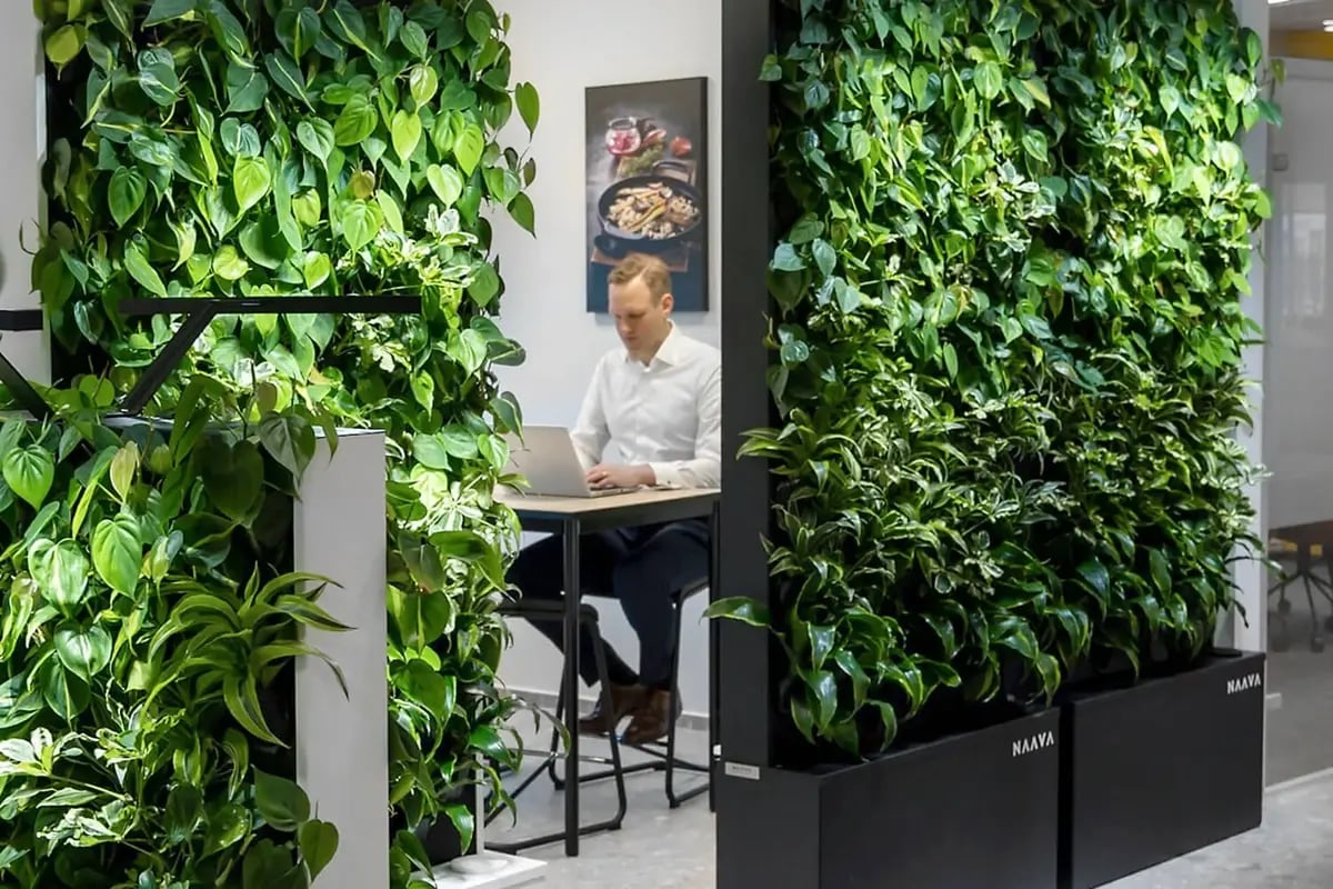 coor-biophilic-office-naava-green-wall-01