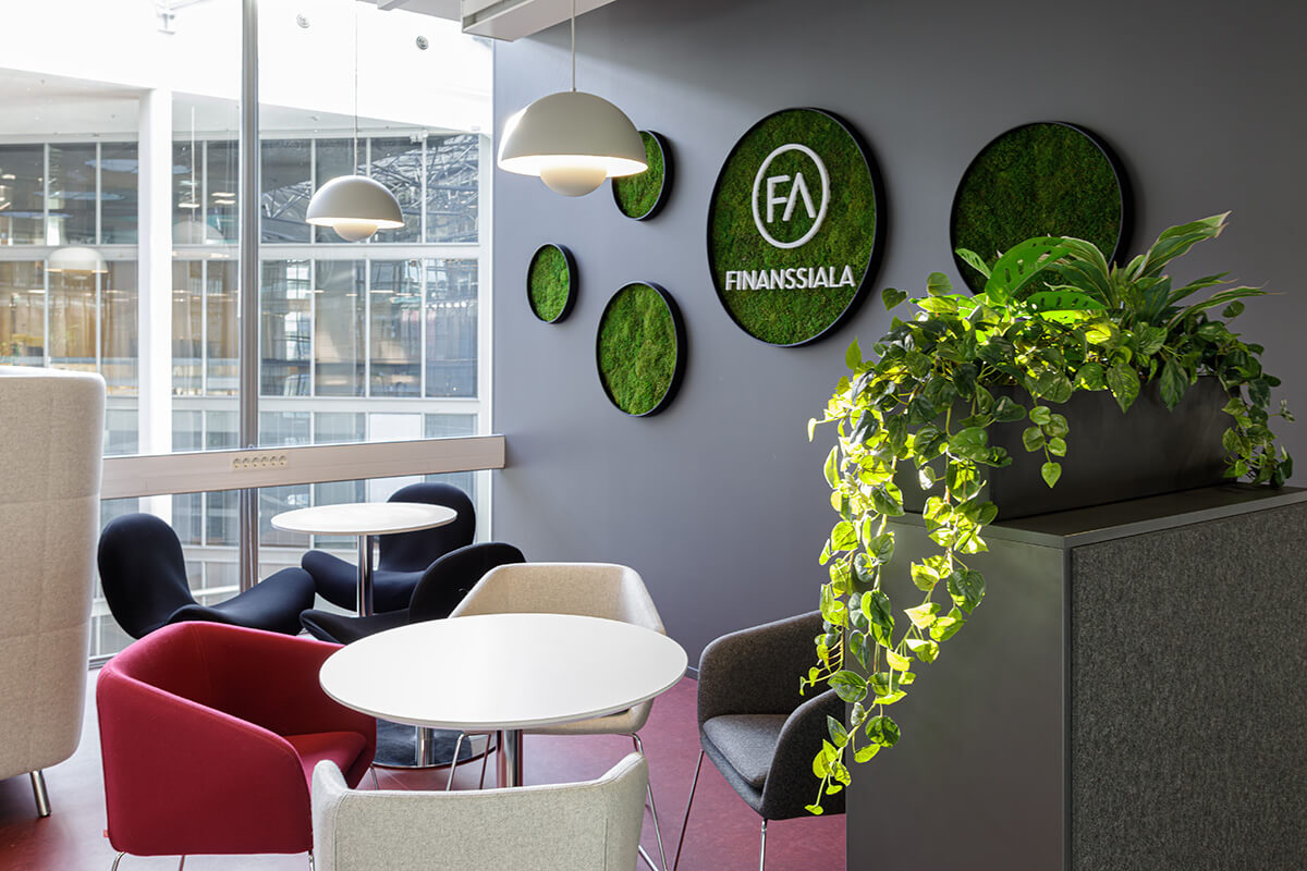 finanssiala kasvit toimistossa (4)