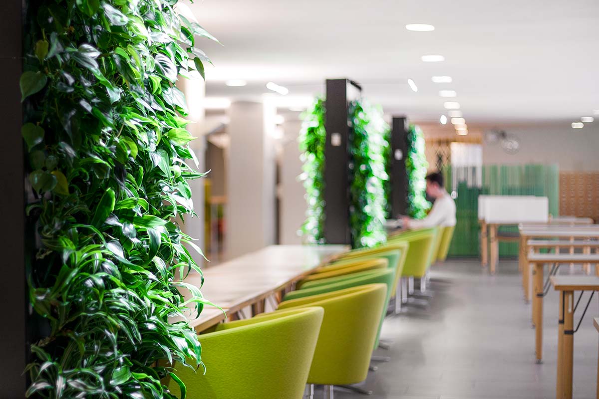 Hanken_3