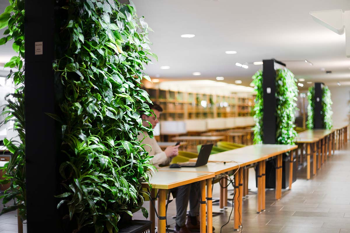 Hanken_7