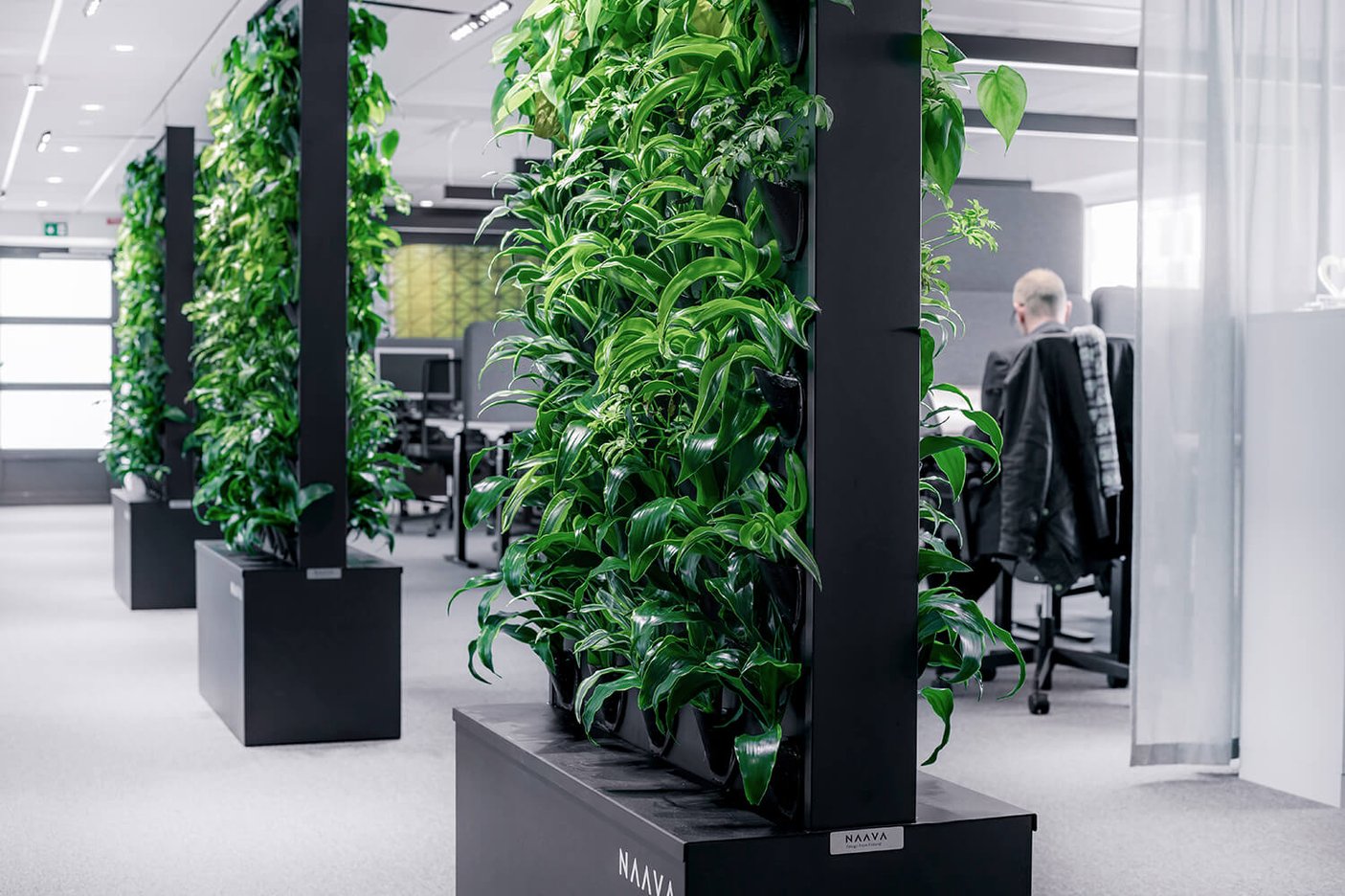 Signify office space in Stockholm with Naava green walls (1)