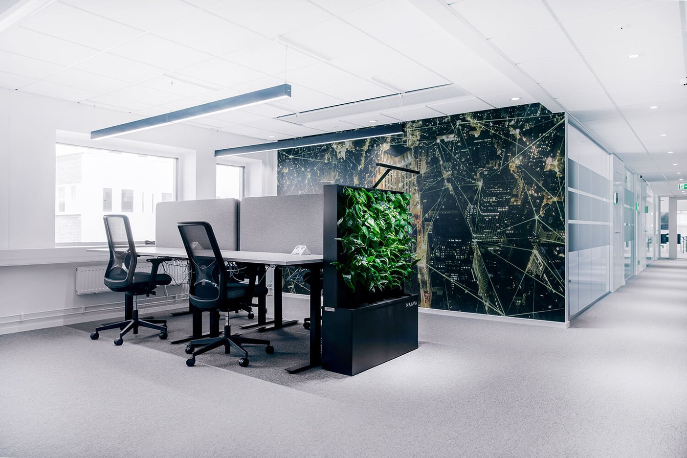 Signify office space in Stockholm with Naava green walls (2)