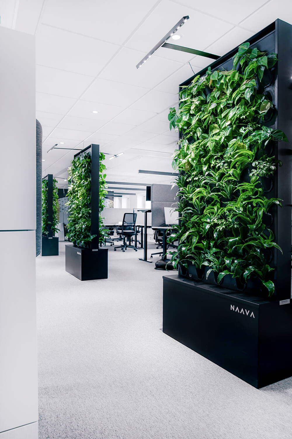 Signify office space in Stockholm with Naava green walls (3)