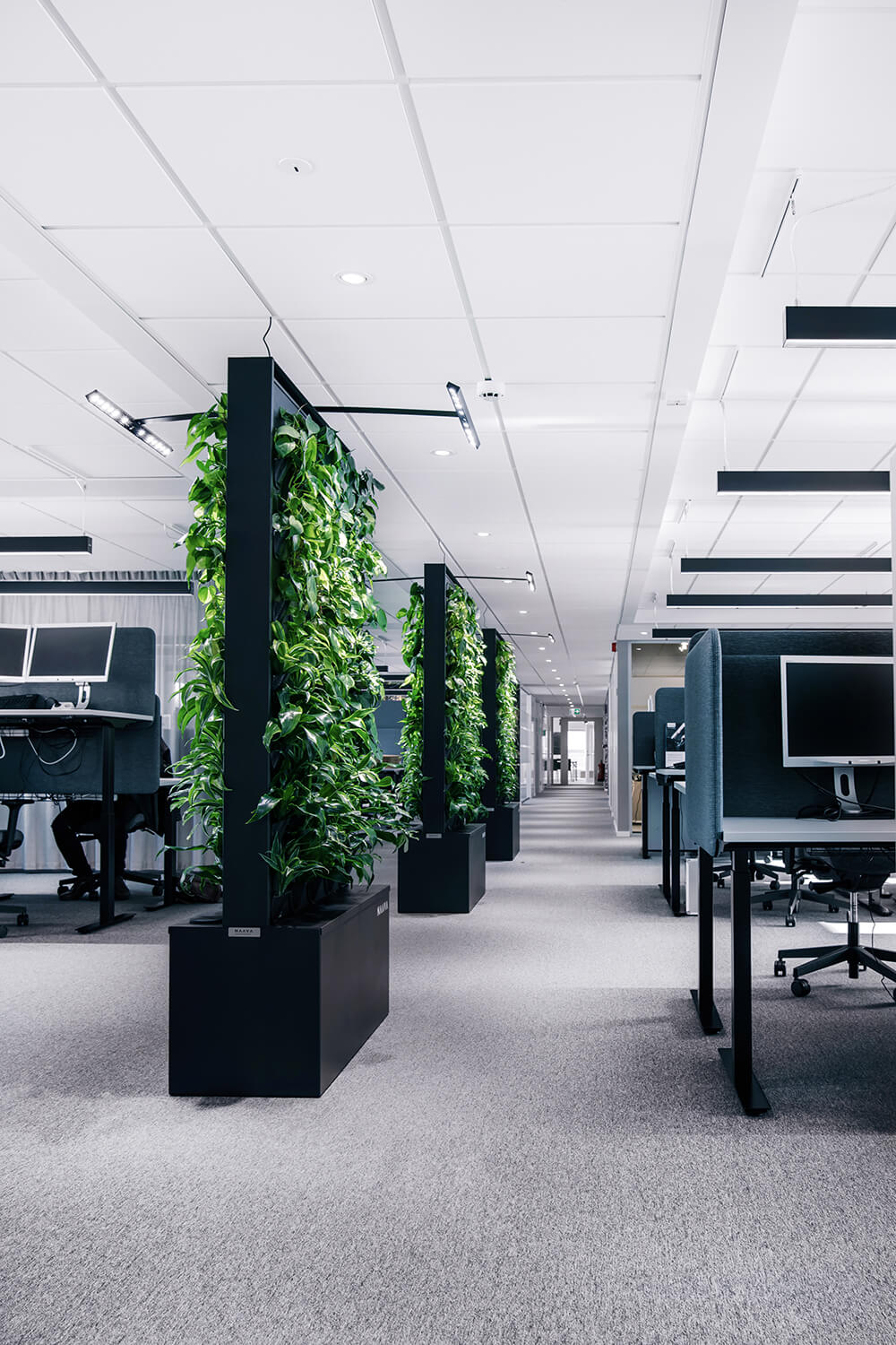 Signify office space in Stockholm with Naava green walls (4)