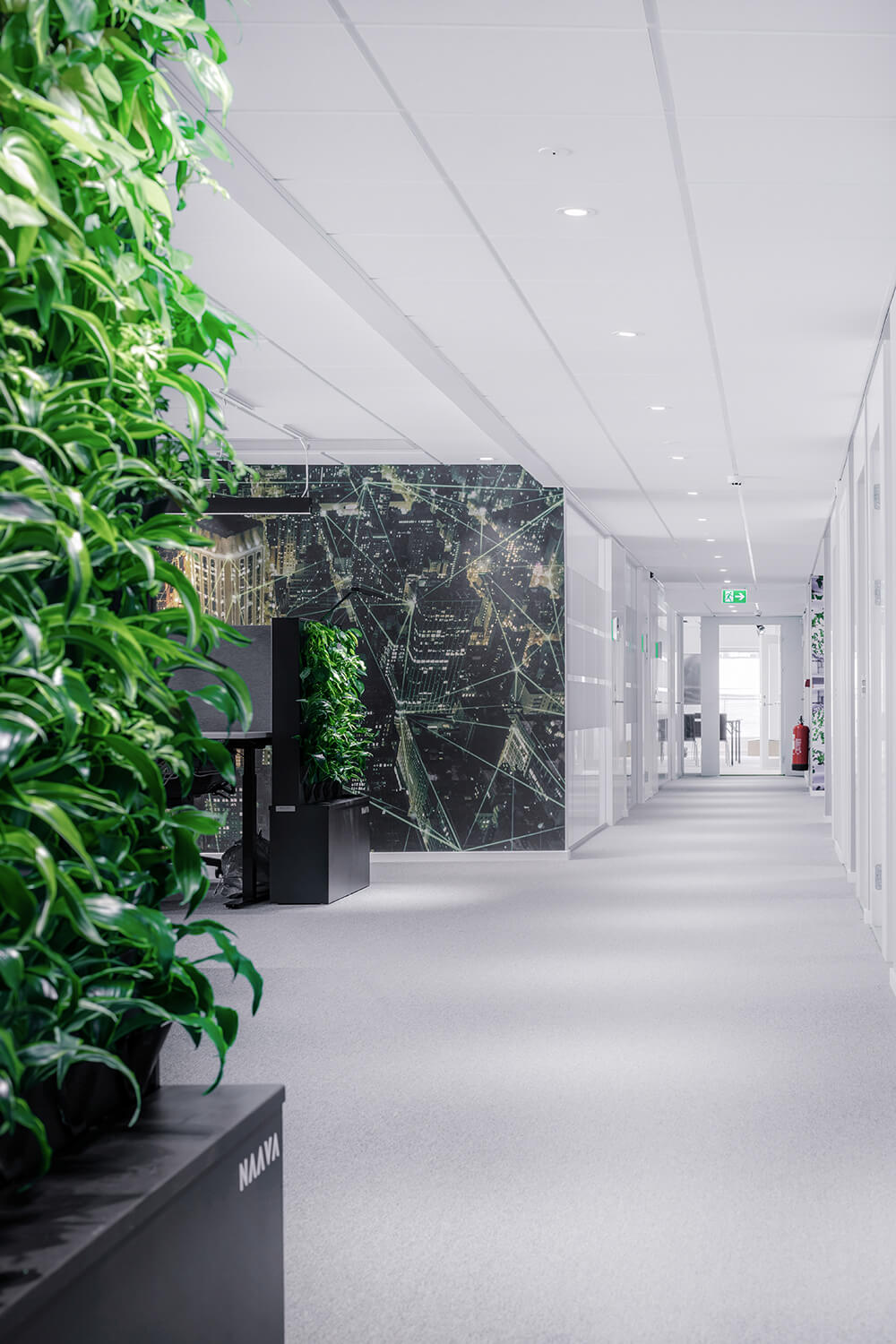 Signify office space in Stockholm with Naava green walls (6)