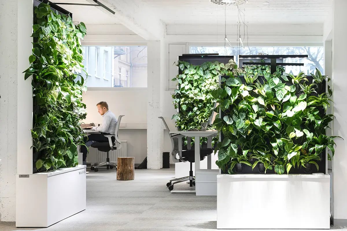 Naava HKI office_high res