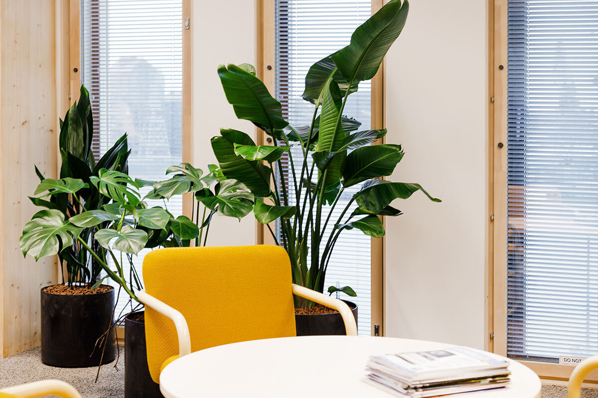 Naava x Withsecure (3)