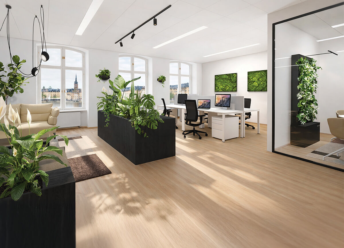 biofiilinen tilasuunnittelu