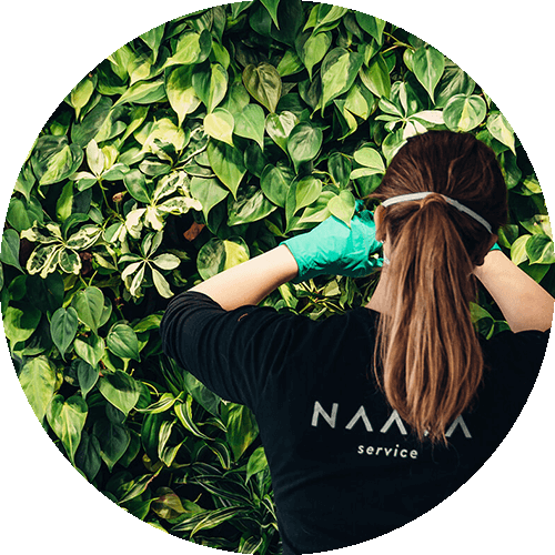 Plant maintenance