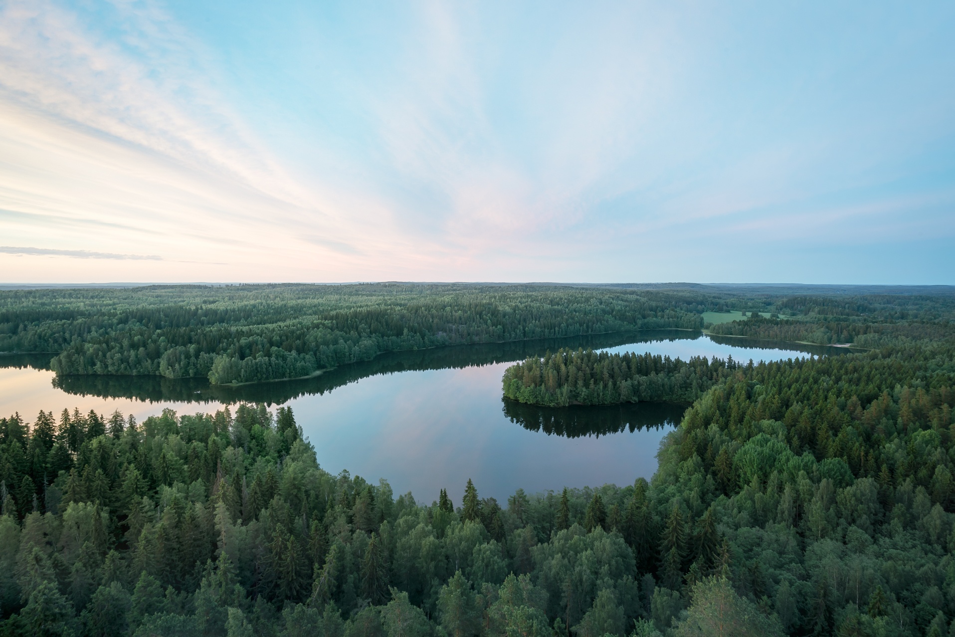 MissionVision_SummerLandscape_01