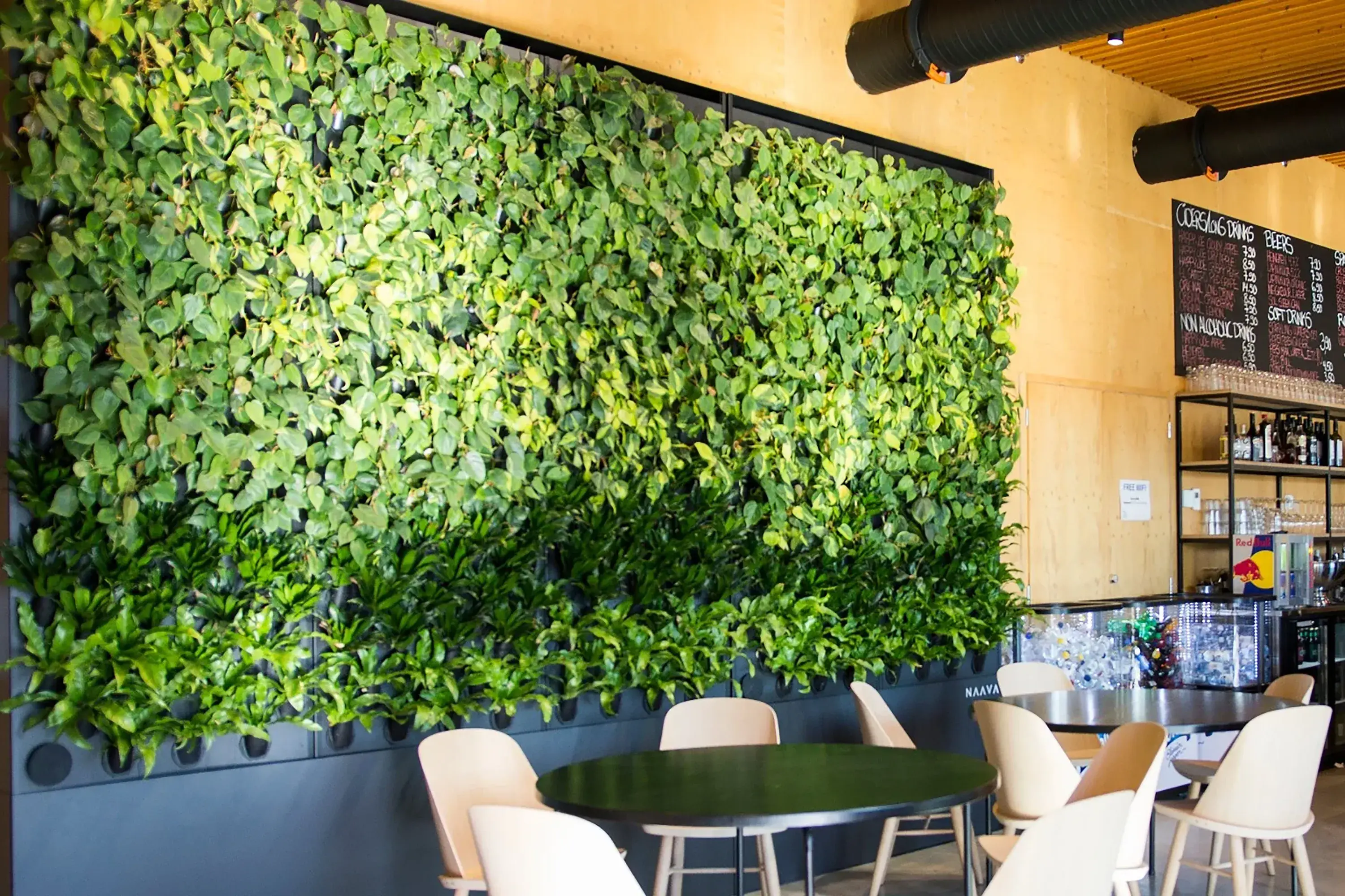 Green Definition What are Green Walls - the Definition, Benefits, Design, and Greenery
