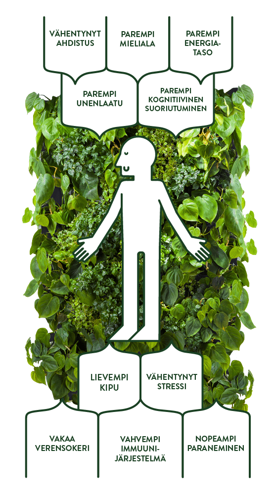 biofilia-vaikutukset