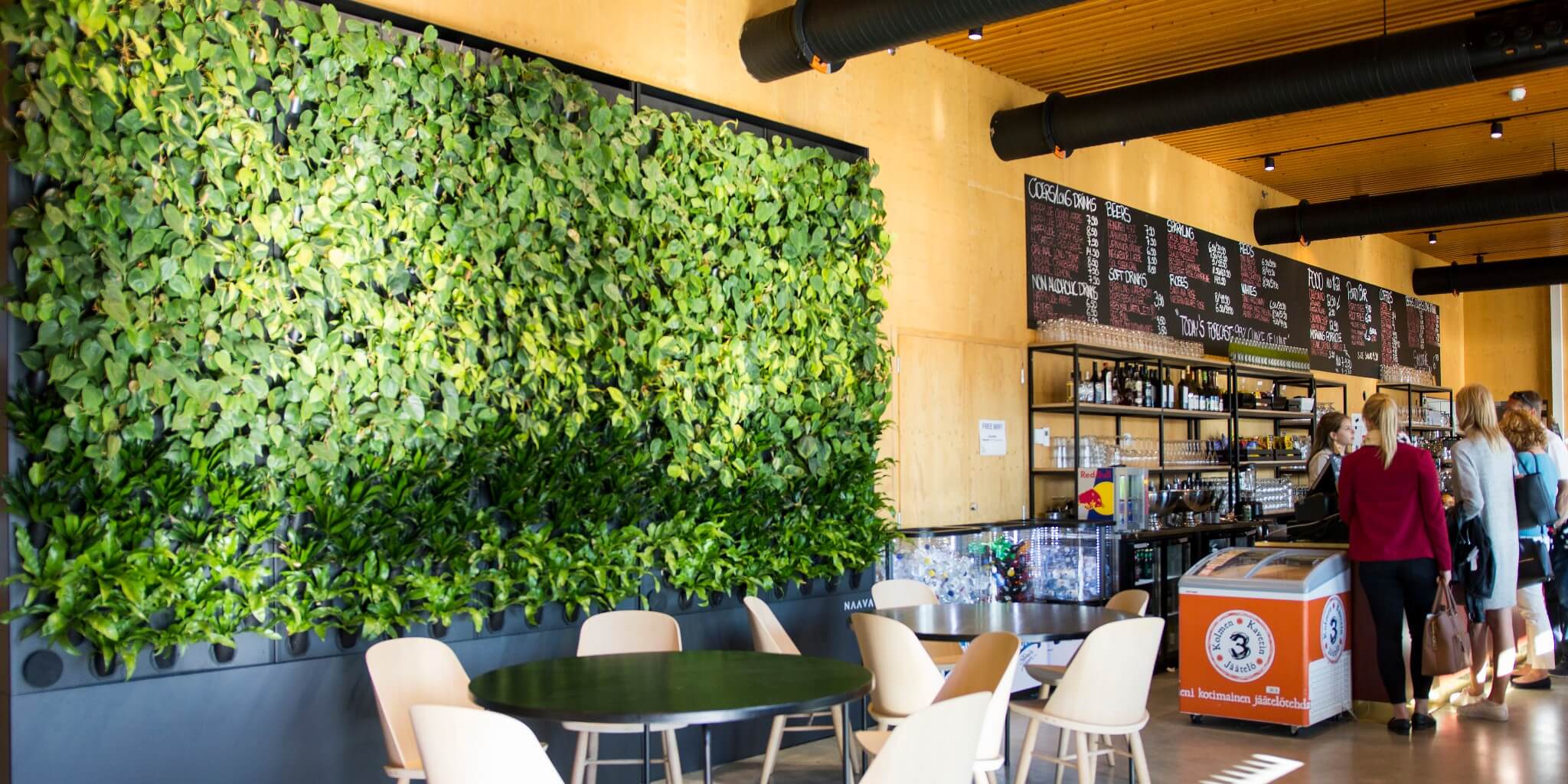 What Are Green Walls The Definition Benefits Design And