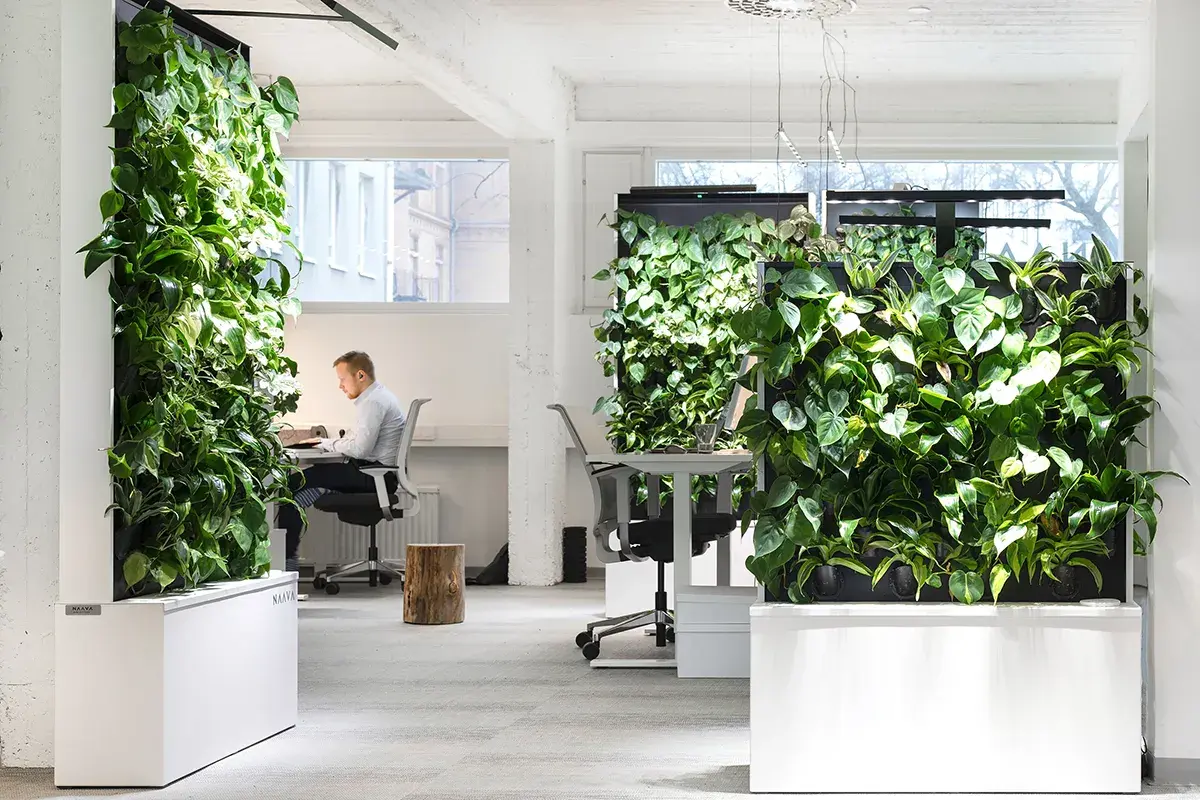 Naava HKI office high res